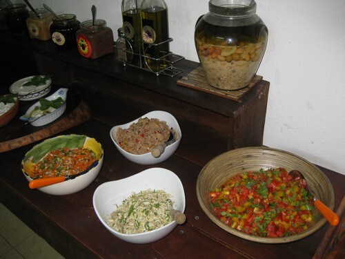 אואזיס גדיש